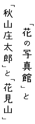 「花の写真館」と「秋山正太郎」と「花見山」